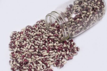 Have Seed Libraries Gone Mainstream? Image